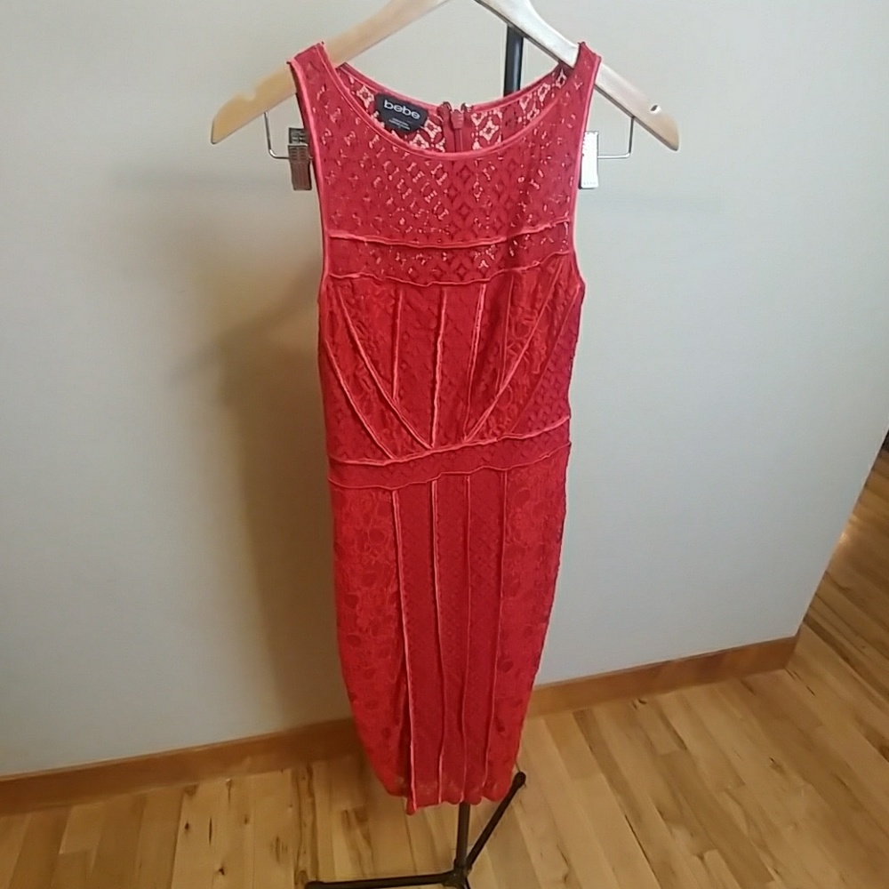 Red bebe dress lace